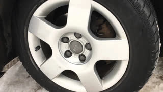 Неубиваемые - "Неубиваемые". Начало.