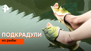 «Наука и техника»: подкрадули из рыбы